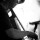 Bassist