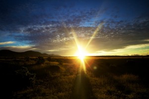 Sunrise on the Masai Mara