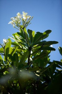 IMG_3146