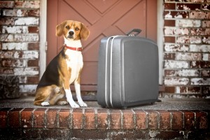 Bags are packed. Ready to go.